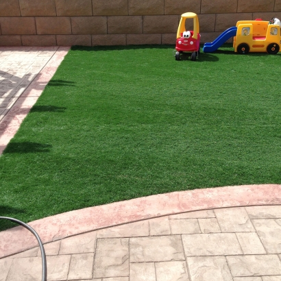 Faux Grass Fern Park, Florida Rooftop, Backyard Design