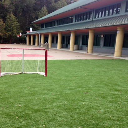 Faux Grass Heathrow, Florida Softball, Commercial Landscape