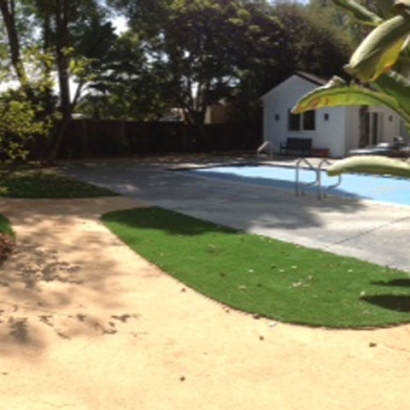 Grass Carpet Bokeelia, Florida Landscape Rock, Pool Designs