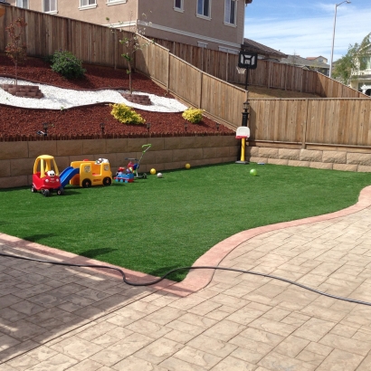 Grass Carpet Forest City, Florida Upper Playground, Beautiful Backyards