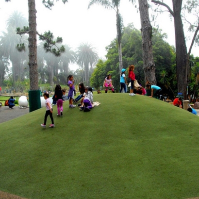 Grass Carpet Memphis, Florida Athletic Playground, Recreational Areas
