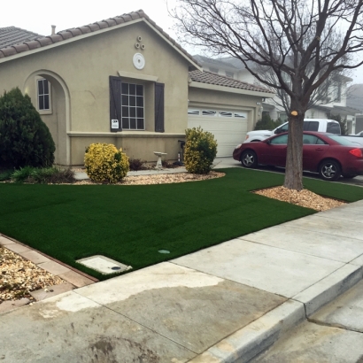 Grass Carpet Silver Lake, Florida Landscape Ideas, Front Yard Design