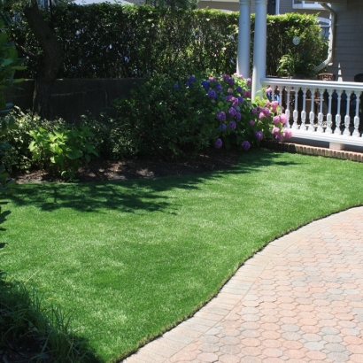 Grass Carpet Wabasso Beach, Florida Grass For Dogs, Front Yard