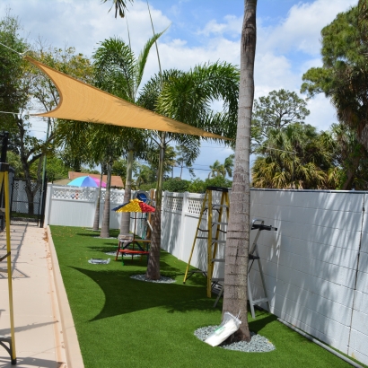 Grass Installation Eustis, Florida Dog Pound, Commercial Landscape