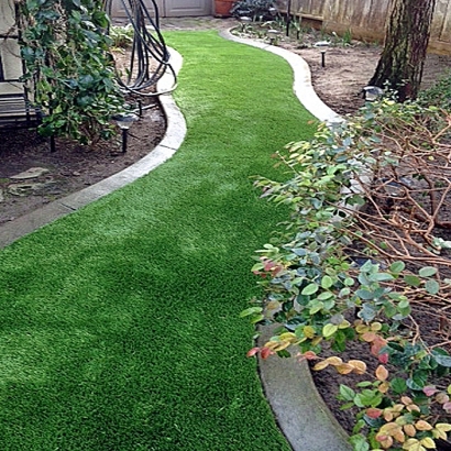 Grass Installation Hernando, Florida Backyard Playground, Small Backyard Ideas