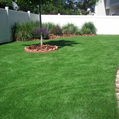 Grass Installation West and East Lealman, Florida Roof Top, Backyard Designs