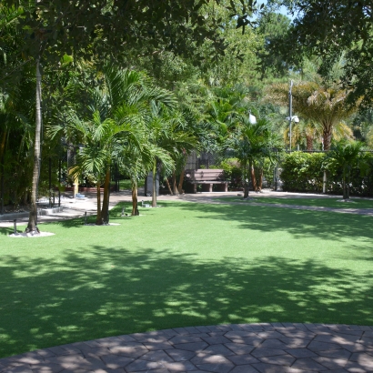 Grass Installation Yankeetown, Florida Backyard Deck Ideas, Pavers