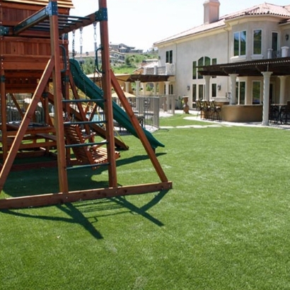Grass Turf Combee Settlement, Florida Backyard Deck Ideas, Backyard Landscaping Ideas