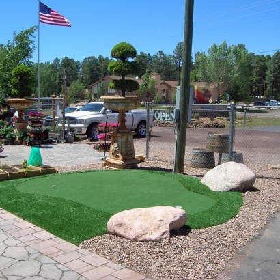 Grass Turf Inverness Highlands North, Florida Artificial Putting Greens, Commercial Landscape