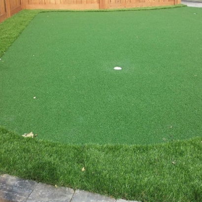 Grass Turf North Sarasota, Florida Outdoor Putting Green