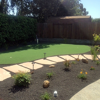 Grass Turf Palm Harbor, Florida Landscaping, Backyard Landscape Ideas