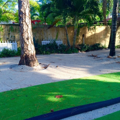 Grass Turf Sorrento, Florida Rooftop, Parks