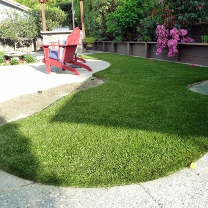 Grass Turf Tavares, Florida Garden Ideas, Backyard Landscaping Ideas