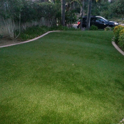 Grass Turf Umatilla, Florida Roof Top, Front Yard Landscaping