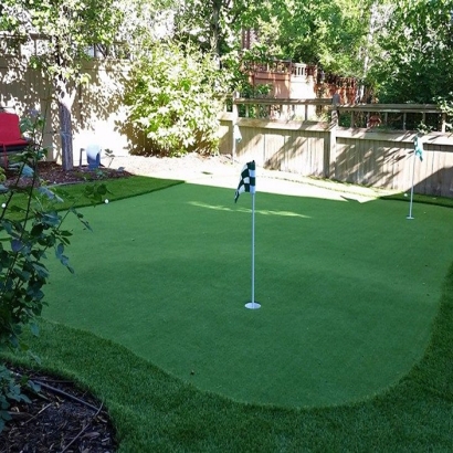 Green Lawn Celebration, Florida Backyard Deck Ideas, Backyard Landscape Ideas