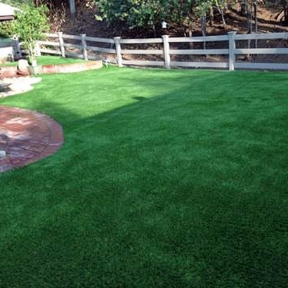 How To Install Artificial Grass Holmes Beach, Florida Dog Grass, Backyard Landscape Ideas