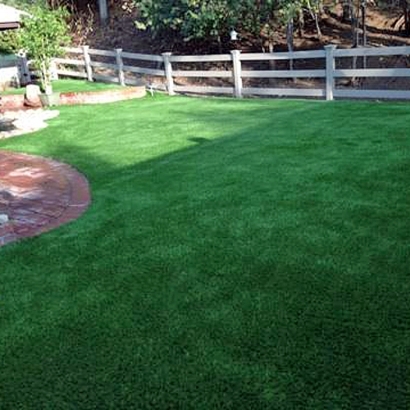 How To Install Artificial Grass Holmes Beach, Florida Dog Grass, Backyard Landscape Ideas
