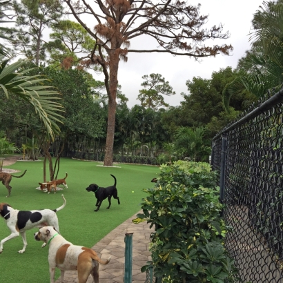 How To Install Artificial Grass Limestone, Florida Artificial Grass For Dogs, Commercial Landscape