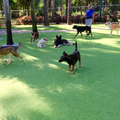How To Install Artificial Grass Longwood, Florida Pet Paradise, Dogs Park