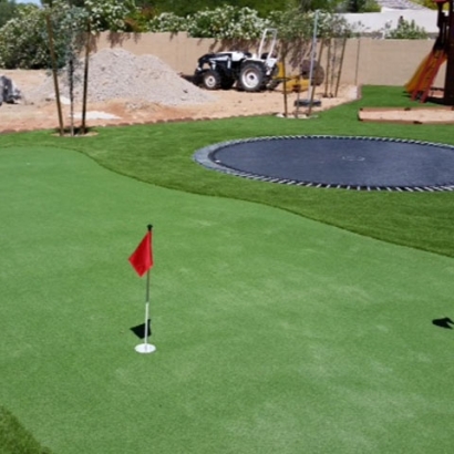 Lawn Services Alafaya, Florida How To Build A Putting Green, Backyards