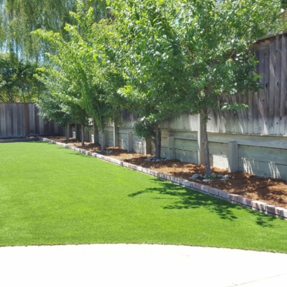 Outdoor Carpet Cedar Key, Florida Backyard Playground, Backyard Landscaping