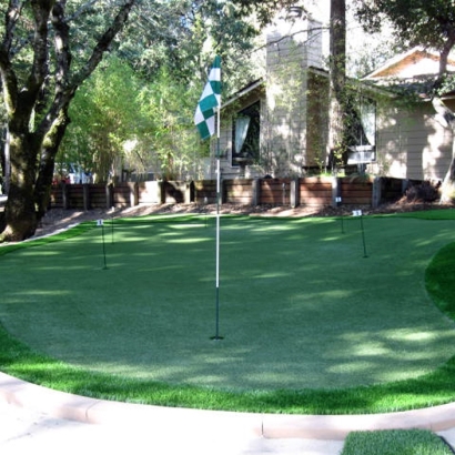 Outdoor Carpet Chuluota, Florida Putting Green Flags, Backyard Makeover