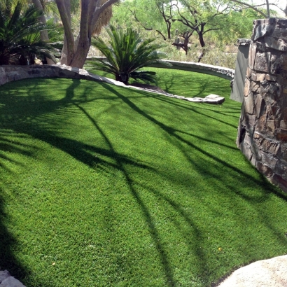 Outdoor Carpet Holly Hill, Florida Dog Running