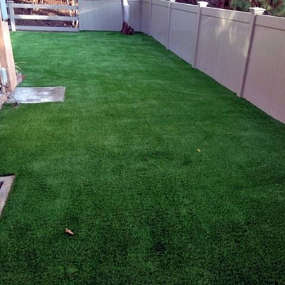 Outdoor Carpet Weeki Wachee Gardens, Florida Paver Patio, Backyard Makeover