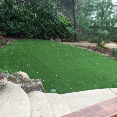 Plastic Grass Citrus Springs, Florida Lawns, Small Backyard Ideas