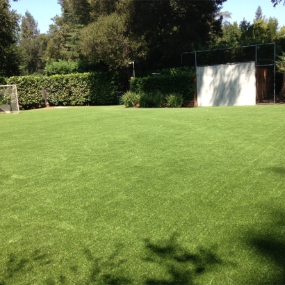 Plastic Grass Cross City, Florida Backyard Soccer, Beautiful Backyards