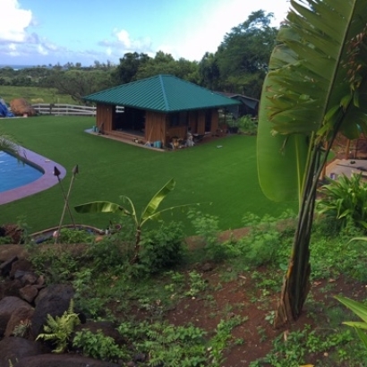 Plastic Grass Ocala, Florida Backyard Playground, Kids Swimming Pools