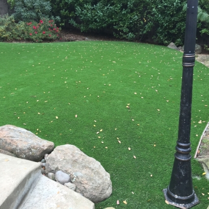 Plastic Grass Orlovista, Florida Backyard Deck Ideas, Backyards