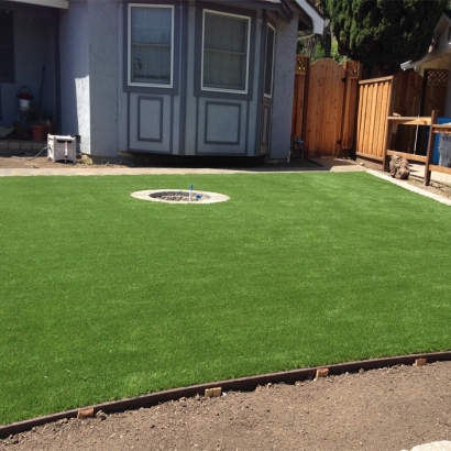Plastic Grass Southchase, Florida Lawn And Garden, Backyard Landscaping Ideas