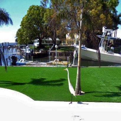 Synthetic Grass Cost Apollo Beach, Florida Lawn And Landscape, Small Backyard Ideas