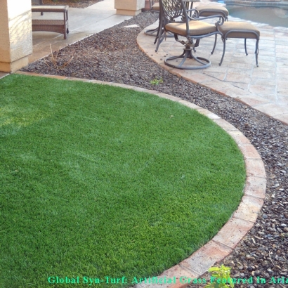 Synthetic Grass Cost Gandy, Florida Pet Grass, Front Yard Ideas
