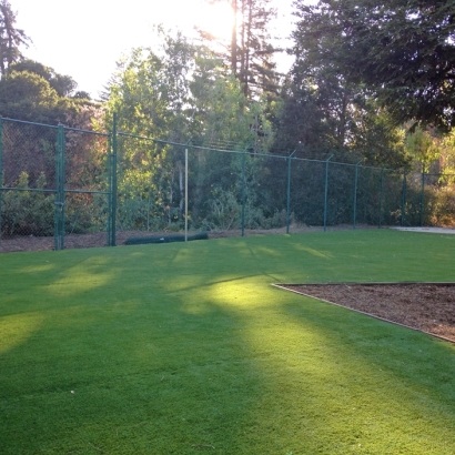 Synthetic Grass Mulberry, Florida Backyard Playground, Recreational Areas