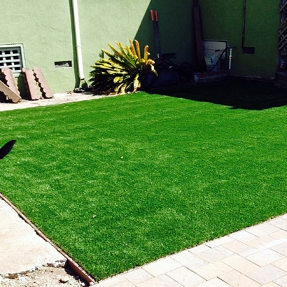 Synthetic Grass Orange City, Florida Dogs, Beautiful Backyards