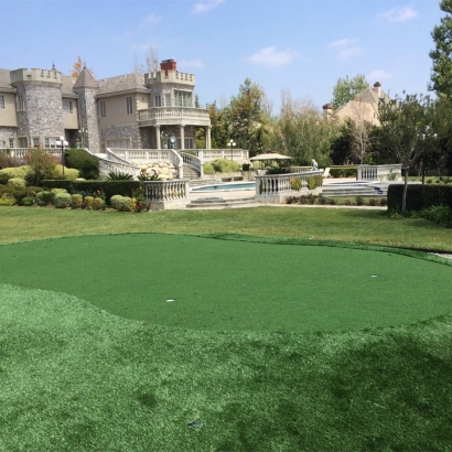 Synthetic Grass South Highpoint, Florida Rooftop, Front Yard Ideas