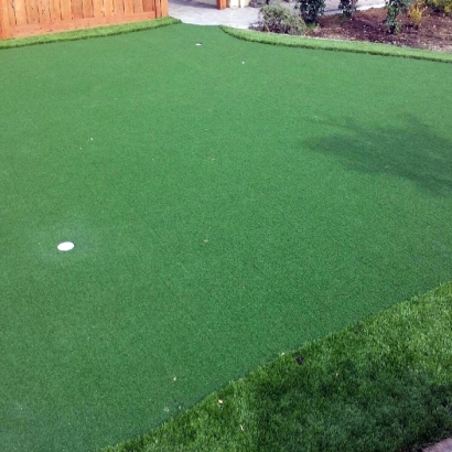 Synthetic Lawn Apollo Beach, Florida Putting Green Turf