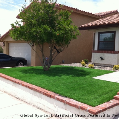 Synthetic Lawn Carrollwood Village, Florida Paver Patio, Front Yard Landscaping