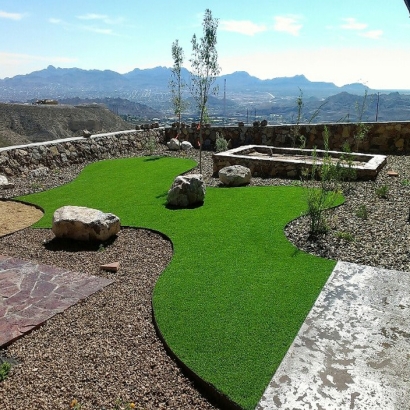 Synthetic Lawn Dunnellon, Florida Backyard Deck Ideas, Backyard Landscaping