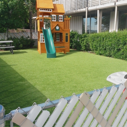 Synthetic Lawn Gotha, Florida Upper Playground, Beautiful Backyards