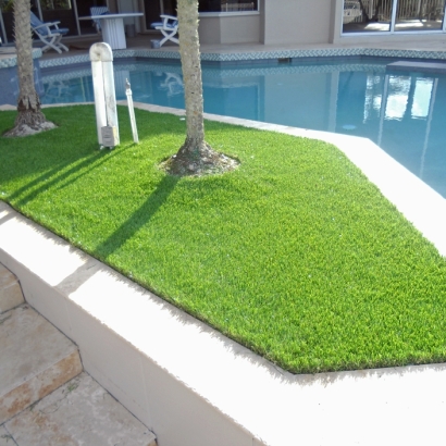 Synthetic Lawn Gulfport, Florida Landscaping Business, Backyard Landscaping