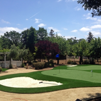Synthetic Lawn South Brooksville, Florida Backyard Putting Green, Front Yard Landscape Ideas