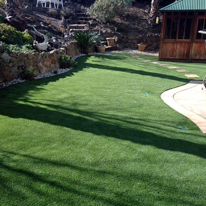 Synthetic Turf Campbell, Florida Landscape Ideas, Backyard Landscape Ideas