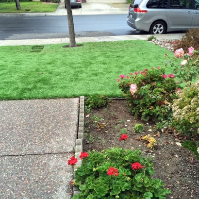 Synthetic Turf Kensington Park, Florida Design Ideas, Front Yard Landscaping