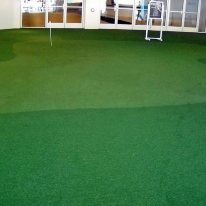 Synthetic Turf Supplier Dover, Florida Diy Putting Green, Commercial Landscape