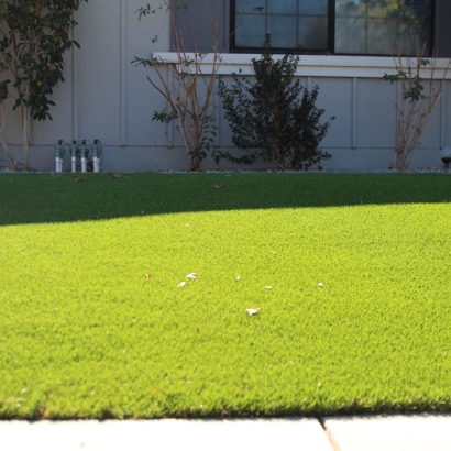 Synthetic Turf Supplier Holden Heights, Florida Lawn And Landscape, Front Yard Landscaping