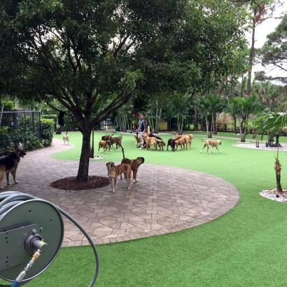 Synthetic Turf Supplier Nokomis, Florida Landscape Photos, Commercial Landscape