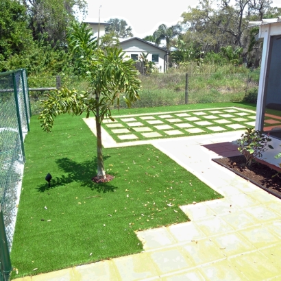 Synthetic Turf Supplier Saint Pete Beach, Florida Lawn And Garden, Backyard Landscaping Ideas